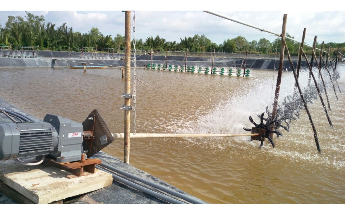 Sử dụng hộp số giảm tốc trong nu&ocirc;i t&ocirc;m